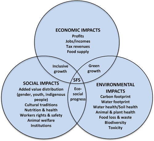 Figure 3. Sustainability in food systems (Adapted from FAO Citation2018).