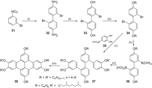 Scheme 7. Synthetic route to hexaalkoxy-DBN derivatives. (i) Zn / NaOH, HCl. (ii) NaNO2 / HCl. (iii) DMSO / KOH / RBr. (iv) n-BuLi / B(OMe)3 / HCl. (v) Pd(PPh3)4 / Na2CO3. (vi) hυ / I2 or FeCl3.