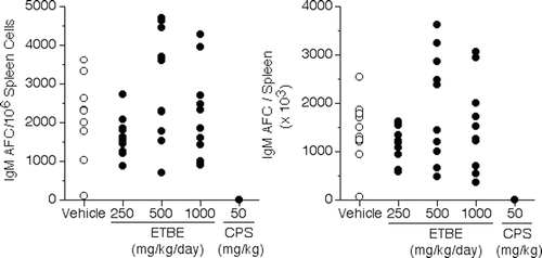 Figure 1.  Individual IgM antibody-forming cell responses to sheep erythrocytes in female Crl:CD (SD) rats exposed to ETBE via oral gavage for 28 days—Day 4 response. Results of AFC response expressed as individual animal values for specific activity (AFC/106 spleen cells; left panel) or as total spleen activity (AFC/spleen; right panel). N = 10 rats/exposure level for 0, 250, 500, and 1000 mg ETBE/kg/day and 50 mg CPS/kg/day (study Days 24–27).