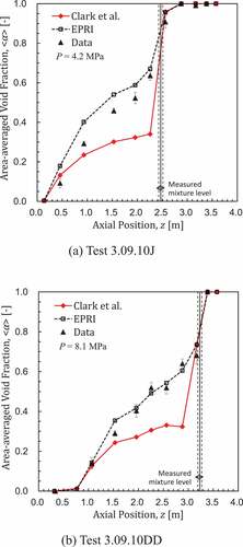 Figure 11. Predicted void fraction profiles.