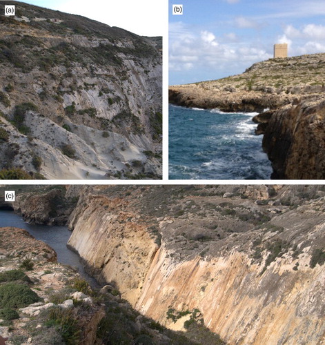 Figure 3. Tectonic landforms: (a) Great Fault plane at Fomm Ir-Rih Bay in the western coast; (b) Great Fault plane at Bahar ic-Caghaq in the eastern coast; (c) Maghlaq fault plane at Ghar Lapsi in the western coast.