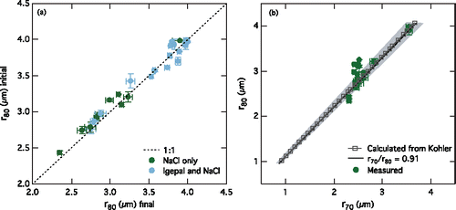 Figure 1. (a) Comparison of aqueous particle radii at 80% RH (r80) initially and finally for all of the aqueous particles in the evaporation and condensation experiment. (b) Comparison of NaCl aqueous particle radii at 80% RH (r80) and 70% RH (r70) calculated using Köhler theory (gray squares) and measured in the experiment (circles). The black line represents the r70/r80 ratio (0.91) for similar aqueous particles (Clegg et al. Citation1998). The gray shading shows the uncertainty associated with the RH measurements (r70/r80 of 0.86 to 0.94). In both panels, error bars represent the standard deviation of the averaged values.