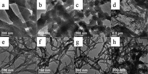 Figure 1. TEM images of PANI synthesized in the absence (a–d) and presence (e–h) of D-CSA under the different inorganic salts: (a, e) no salts; (b, f) NaCl; (c, g) MgSO4 and (d, h) AlCl3.