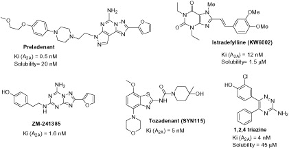 Figure 1. Selective adenosine A2A receptor antagonists.