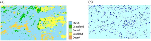 Figure 4. (a) Land cover class prediction using a rough set rule induction method and (b) misclassified pixels.