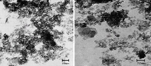 Figure 5. TEM image of Ps-g-Ppy nanocomposite.