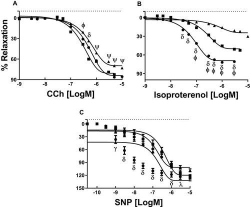 Figure 3 Concentration–response curves to CCh (A), isoproterenol (B) and SNP (C). YO (●, 4 animals, 8 rings), AD (■, 4,8) and OL (▲, 4,8). δ indicates a lower sensitivity in YO to CCh than AD and higher than OL, and a higher sensitivity to isoproterenol and SNP and higher Emax to isoproterenol in YO compared with AD and OL. ψ indicates a higher sensitivity to CCh in YO and AD compared with OL. ϕ indicates a higher sensitivity to CCh and isoproterenol and higher Emax to isoproterenol in AD compared with YO and OL.  γ indicates a lower sensitivity in AD to SNP than YO. λ indicates a lower relaxation in OL to SNP than YO. pD2 and Emax values in all conditions can be seen in Table 1. Significance level of P<0.05.