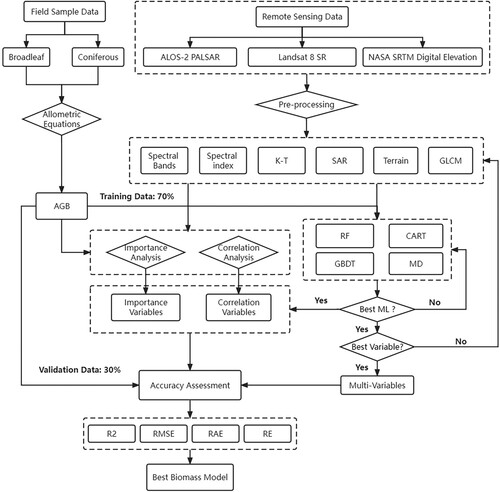 Figure 3. Flowchart for satellite-image processing and the generation of forest above-ground biomass (AGB) models based on machine learning (ML) methods. Among the six variable types obtained during the data processing, the feature variable synthetic aperture radar (SAR) was derived from the ALOS-2 PALSAR data. Spectral bands, spectral indices, Kauth-Thomas (K-T), and grey level co-occurrence matrix (GLCM) all originate from Landsat 8 SR images. Terrain variables were derived from the NASA's shuttle radar topography mission (SRTM).