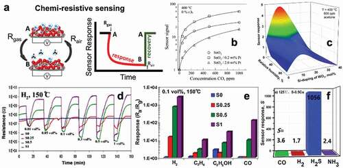 Figure 15. (a) Sensing mechanism of a chemiresistive gas sensor. (b) Sensor signal of different Pt doped SnO2 sensor towards different CO concentrations at 400°C. (c) Sensor response of 10 mol% Si-doped WO3 towards acetone (600 ppb) at different relative humidity at 400°C. (d) Dynamic changes in resistance under exposure of H2 at 150°C. (e) Selectivity plot of the developed Pt doped WO3 sensor towards interfering analytes. (f) Selectivity plots of 0.5 wt.% CuO doped SnO2 respectively. Reprinted with permission [Citation6,Citation141–143]