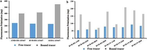 Figure 2. Characterisation of the tracers. (a) The FP values of all free long-wavelength tracers and antibody-tracers, tracers bound with 400-fold diluted antibodies. (b) The FP values of eight free RVB and antibody-tracers, tracers bound with 400-fold diluted antibody.