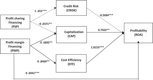 Figure 2. Reduced model: Causal relationships between financing modes, Risk, Efficiency and Bank Profitability
