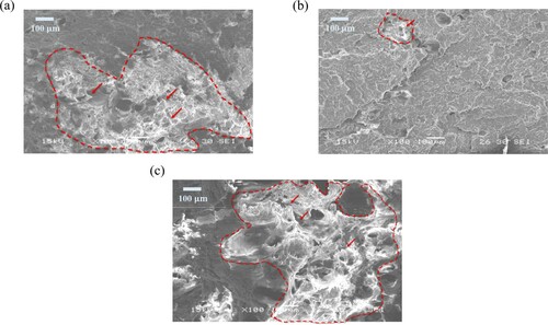 Figure 14. SEM images of the fractured parts printed at locations (a) 2-4-1, (b) 2-4-7, and (c) 2-4-14. The region of filaments is indicated by the red dash curve.