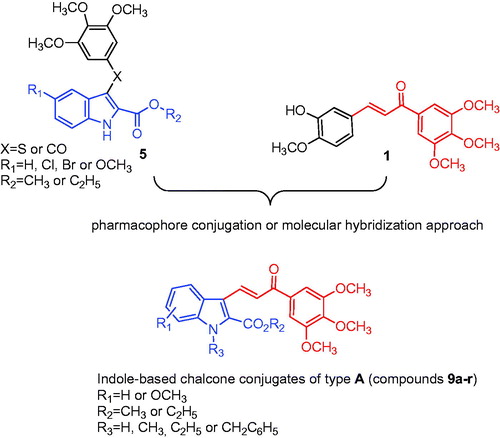 Figure 2. Bioisosteric replacement of the sulphur or carbonyl group (X) of compound 5 with the 2-propen-1-one system (drawn in red) of chalcone 1 furnished a new class of indole-based chalcone conjugates of type A.