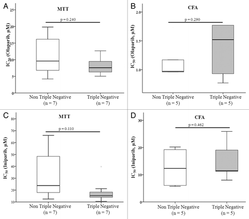 Figure 1. Boxplots illustrating the relationship between triple negative status and response to olaparib and iniparib as measured by determining IC50 values by (A and C) MTT assay and (B and D) colony formation assay in a panel of breast cancer cell lines. Boxes represent the 25th and 75th percentile with the median indicated. The bars indicate the 10th and 90th percentile. Data was analyzed using the Mann Whitney U test. CFA, colony formation assay.