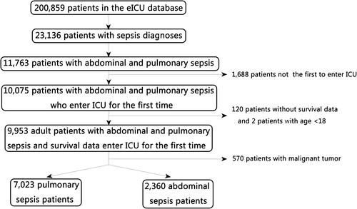 Figure 1 Flowchart of the patient selection process in this study.