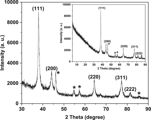 Figure 4. XRD patterns of the synthesized IA-AgNPs. Unassigned peaks (marked with stars) are probably due to the crystallization of bioorganic phase on the AgNPs surface originating from the leaf extract (Citation74, Citation75).