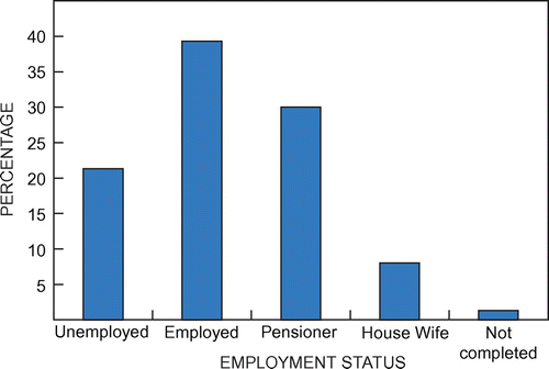 Figure 5: Employment status.