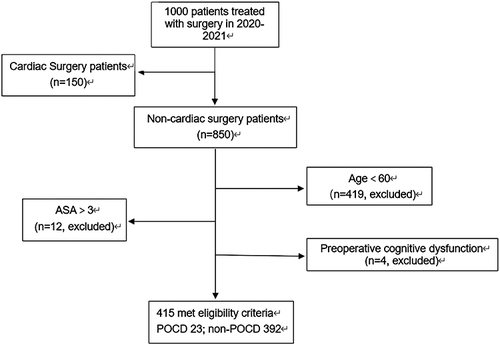 Figure 1 Patient flowchart.