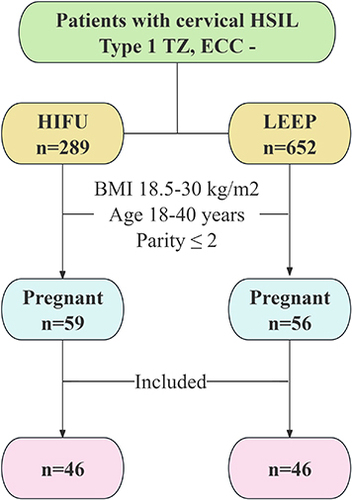 Figure 2 Flowchart of patients included in the study.