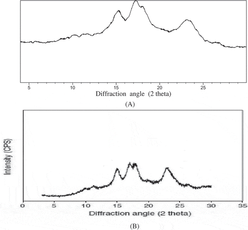 Figure 3. X-ray diffractograms of starches from A: litchi kernel and B: mango kernel starch.[Citation30]