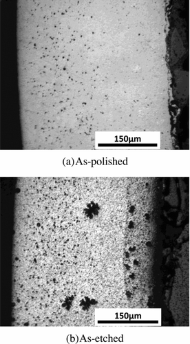 Figure 14 Optical micrographs of 9Cr-ODS cladding fuel pin (X44) irradiated in VS423E (top of fuel column; distance from core center = 213 mm)