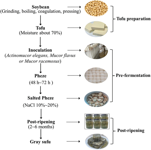 Figure 1. The fermentation process of gray sufu.