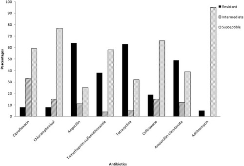 Figure 2 The number of samples that were susceptible, intermediate or resistant to the tested antibiotics.