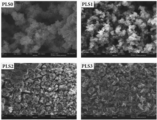 Figure 12. FESEM micrographs of steel coupons after 16-day immersion in NaCl solution containing 0 to 3 vol.% PLS. The length of scale bar is 1 μm in all samples.