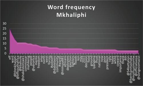 Figure 4. Most frequently used words in Mkhaliphi’s 100 tweets.