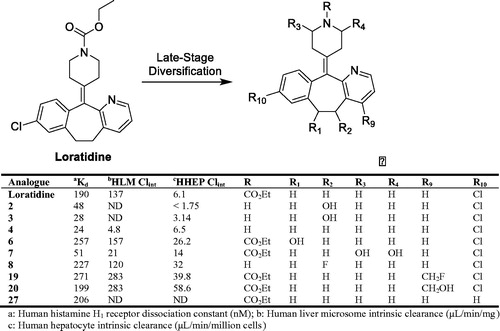 Figure 4. Loratidine analogues with improved potency and/or metabolic stability.