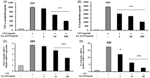 Figure 4. Effects of P.g AuNPs on LPS-induced expression of inflammation mediators in RAW 264.7 cells. (A) TNF-α production, (B) IL-6 production, (C) TNF-α mRNA expression, and (D) IL-6 mRNA expression. The mRNA expression data were normalized to the β-actin signal. Values shown are mean ± SEM of three independent experiments. *P < .05, **P < .01, and ***P < .001 versus LPS-treated cells.