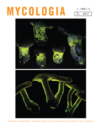 Cover image for Mycologia, Volume 109, Issue 3, 2017