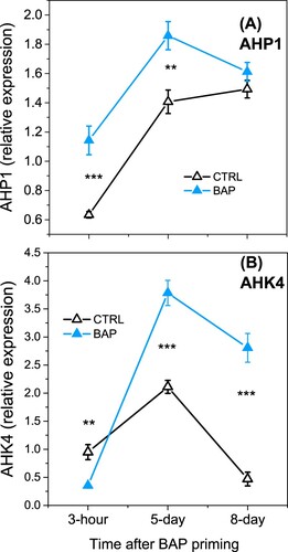 Figure 8. Relative expressions (±SE) of (A) AHP1 and (B) AHK4 genes in leaves of Vitis vinifera irrigated with water (Δ, ▴) and subjected to cytokinin priming treatment (▴, [BAP]) measured at 3 h, 5 and 8 days after BAP spraying. Transcript levels of the genes analysed were measured by qRT-PCR and were normalized to the expression of the reference actin gene. * indicates statistically significant differences (**p  < 0.01, *** p  < 0.001; Student’s t-test).