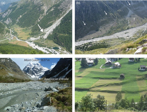 Figure 10. Fluvial landforms in the Hérens valley. (a) The torrential fan at Satarma (Arolla catchment). (b) The braided course of the Borgne d'Arolla River, in the proglacial margin of the Bas Glacier d'Arolla. The arrows show the LIA right lateral moraine. f, torrential fan. (c) Closer view of the Borgne d'Arolla River. (d) Alluvial terraces in Les Haudères.