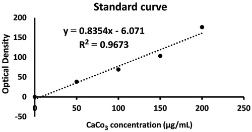Figure 2. Standard curve of calcium carbonate nanoparticle (CC NPs) uptake into the MCF-7 cells in concentrations of 50 to 200 μg/mL.