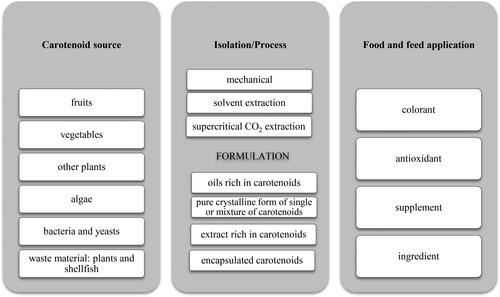 Figure 3. Classification of carotenoid patents.