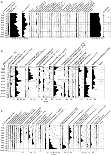 FIGURE 4. Pollen (a), chironomid (b), and diatom (c) diagrams from Seukokjaure (670 m a.s.l.) plotted against sediment depth. Black silhouettes represent percent and open silhouettes per mil occurrences. The first column shows calibrated ages; 0 corresponds to the coring date. Lines indicate statistically significant zones. Temperatures within parentheses are statistically significant July air temperature optima for the taxa. An optimum below the gradient in the training set is indicated by < and beyond the gradient by >; (-) indicates no statistically significant optimum. Only the most common taxa are shown