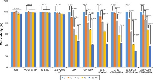 Figure 9 Anti-proliferation effect of GPF/DOX/VEGF-siRNA on HeLa cells (n=3).Abbreviations: DOX, doxorubicin; GPF, graphene oxide-poly-l-lysine hydrobromide/folic acid; NC, normal control; siRNA, small interfering RNA; VEGF, vascular endothelial growth factor.