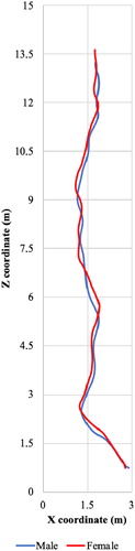 Figure 1. Average pelvis trajectories in males and females.