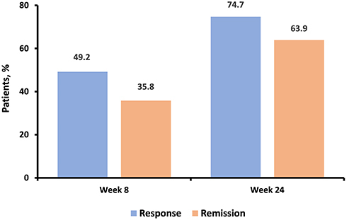 Figure 5 Response and remission rates at weeks 8 and 24.