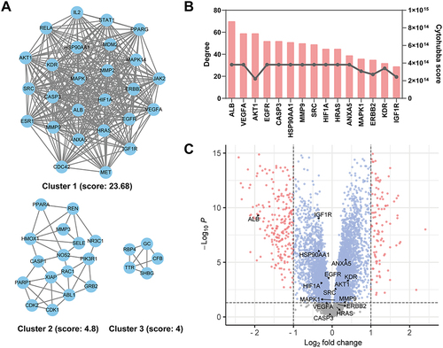 Figure 4 Crucial clusters and hub targets identification. (A) Three crucial clusters of the PPI using MCODE plugin, with the score below. (B) Top 15 hub genes were screened by CytoHubba plugin. The bar chart represents degree value, while the dot and line chart represents CytoHubba score of MCC methods. (C) Volcano Plot showed the expression level and P value of the hub genes in the gene set GSE93798. The arrows of AKT1 and SRC overlapped.