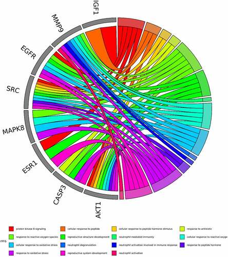 Figure 5. The top 15 GO terms of hub genes