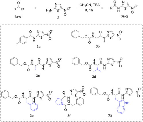 Scheme 1. Chemical synthesis of the previously designed 3a–g candidates to combat COVID-19Citation31.