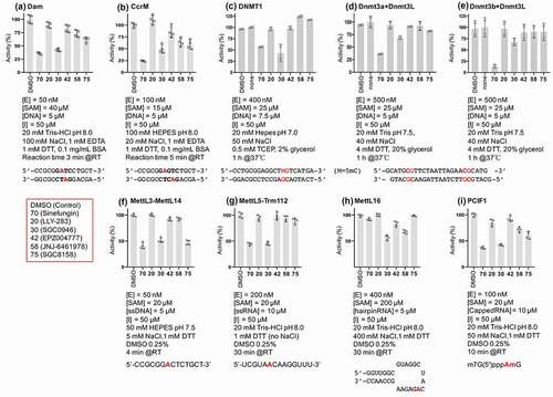 Figure 5. Selectivity of compounds 30, 42, 58 and 75 (see red box) against (a-b) two bacterial DNA adenine MTases (Escherichia coli Dam and Caulobactor crescentus CcrM), (c-e) three mammalian DNA cytosine MTases (human DNMT1, mouse Dnmt3a-3L and Dnmt3b-3L), and (f-i) four human RNA adenine MTases (MettL3-MettL14, MettL5-Trm112, MettL16 and PCIF1). The reaction condition and substrate for each enzyme are indicated.