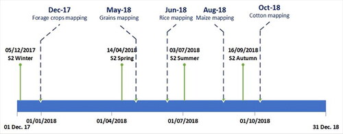 Figure 6. Graphical representation showing the timetable between the acquisition date of the satellite images and the development stages of key crops in the study area.