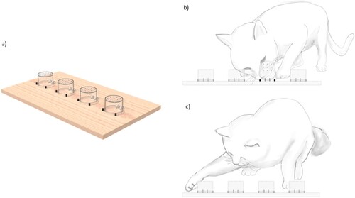 Figure 2. Easy Lid Opening Test for determining the paw preferences of the cats (a); a cat performing Easy Lid Opening Test using its mouth, nose, and/or head (b); and a cat performing Complex Lid Opening Test using its paw (c).