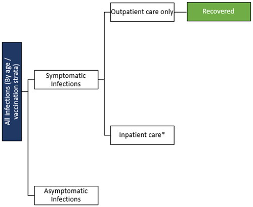 Figure 3. Infection consequences decision tree.*Risk is dependent on eligibility for and receipt of Paxlovid.