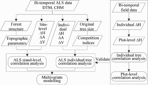 Figure 2. Flowchart of the methodology. ΔH, ΔA, and ΔV mean tree height, crown area, and crown volume.
