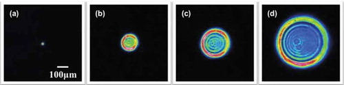 Figure 12. Output beam intensity transverse profiles, coming out from a 2mm long M-Cresol/Nylon solution. Input power varies: (a) Pin=2μW, (b) Pin=5mW, (c) Pin=10mW, (d) Pin=20mW.Reprinted with permission from [Citation36]. Copyright 2014 Optical Society of America.