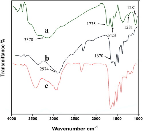 Figure 2. FTIR spectra GO (a), GO-NIPAAm-VP (b), and GO-NIPAAm-VP-lysine (GO/NHs) (c) at wavenumbers ranging from 1000 to 4000 cm−1.